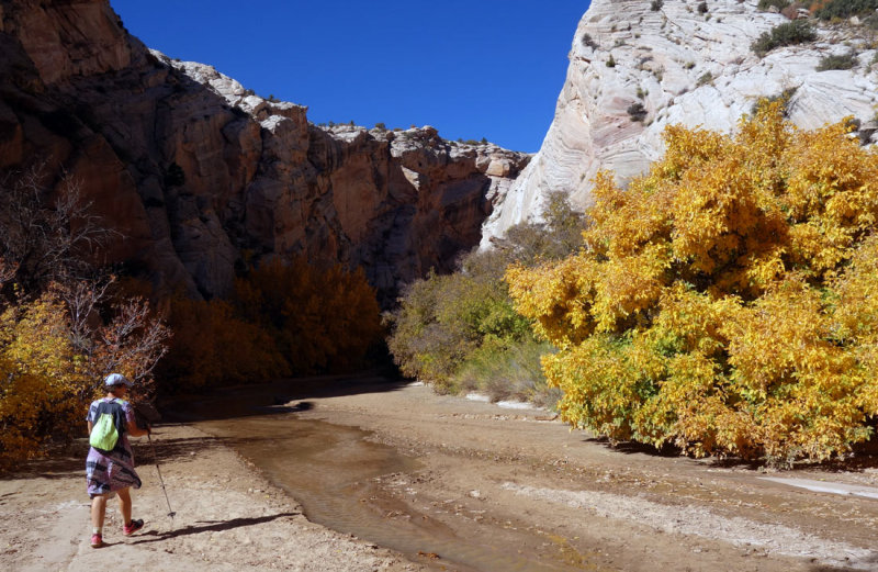 Hackberry canyon