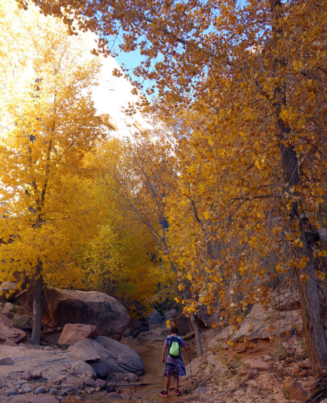 Hackberry canyon