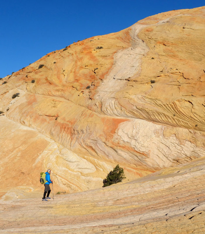 Yellow rock