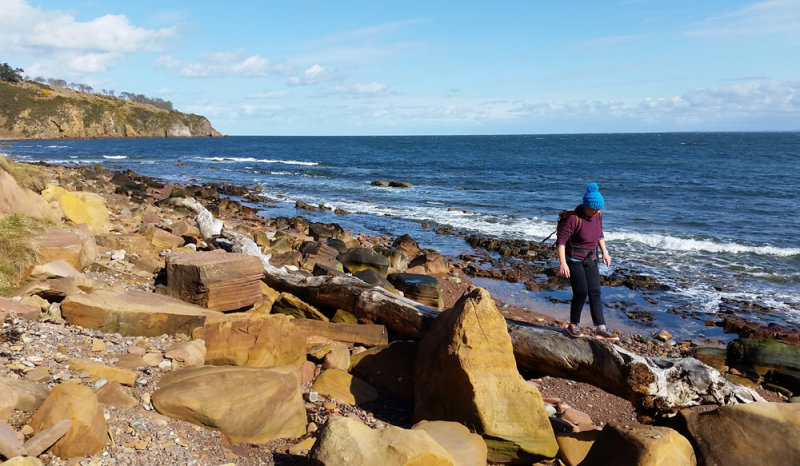 March 18 On the coast between Cromarty and Fortrose for a 21 mile loop walk