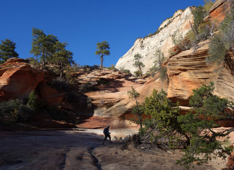 Zion-Evening on the slickrock