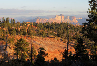 View north to Zion National Park from Canaan Mountain