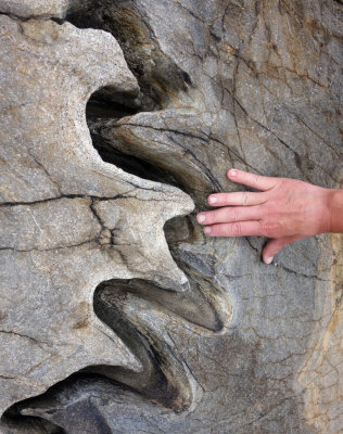 Unusual folds in the gneiss