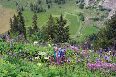 Steep descent of 1400m to the Brenner pass