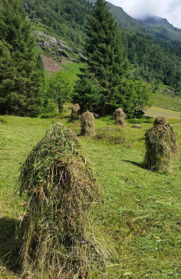Wonderful hay bales in the valley