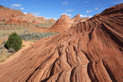 Slickrock above Buckskin Gulch 1