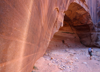 Buckskin wire pass junction petroglyph