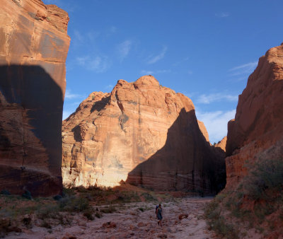 Buckskin wire pass junction