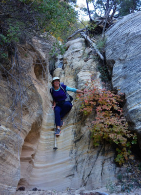 Zion- Scrambling back down canyon