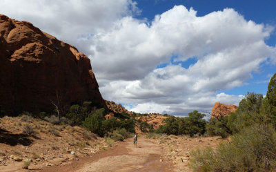 Starting off down 'Lower Muley Twist' canyon in Capitol Reef National Park