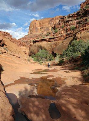 Pools formed on the slick rock canyon floor