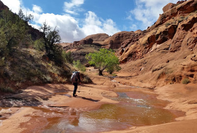 Hiking back up Scorpion after the rains