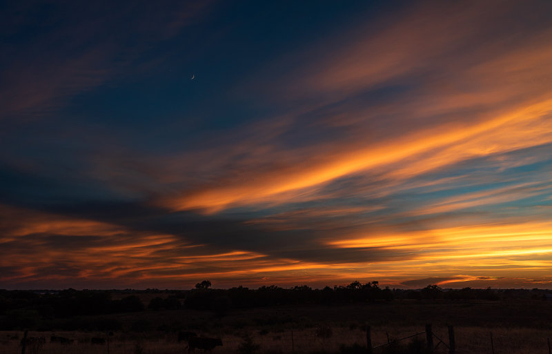 Moon & Venus Conjunction