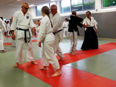 Aikido SDC Training 2018 (65).JPG
