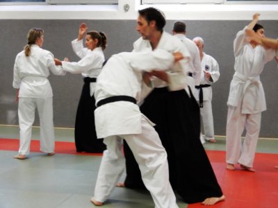 Aikido SDC Training