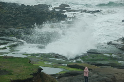 Ocean side at the Overleaf, Yachats Or March 2017
