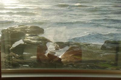 Ocean side at the Overleaf, Yachats Or March 2017
