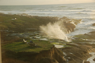 Ocean side at the Overleaf, Yachats Or March 2017