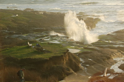 Ocean side at the Overleaf, Yachats Or March 2017