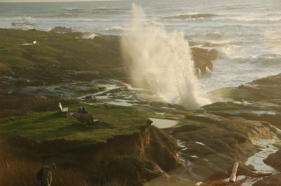 Ocean side at the Overleaf, Yachats Or March 2017