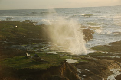Ocean side at the Overleaf, Yachats Or March 2017