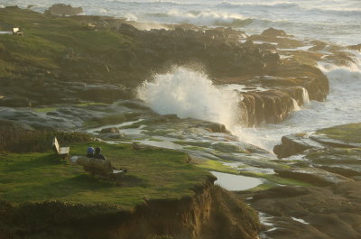 Ocean side at the Overleaf, Yachats Or March 2017