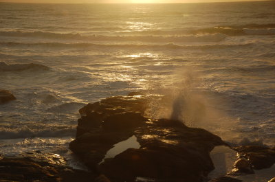 Ocean side at the Overleaf, Yachats Or March 2017