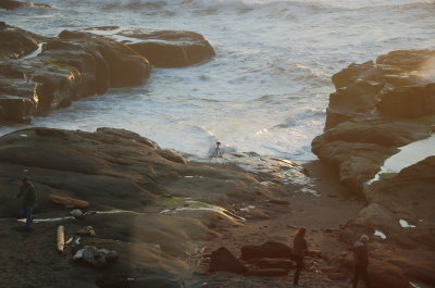 Ocean side at the Overleaf, Yachats Or March 2017