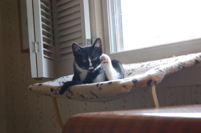 Groucho