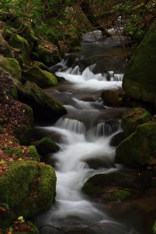 Stream, Gover Valley