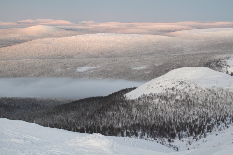 Rolling, forested hills, seen from Yllskammi (718m)