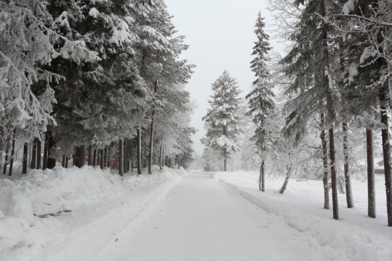 Frozen path (Yllsjrvi village to Ylls)