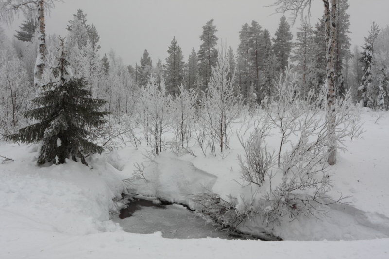 Ylläs, Finnish Lapland, January 2018