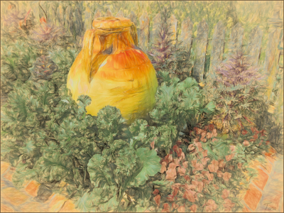 Lettuce Garden