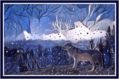 Wolf in winter by Joyce, June, 2017