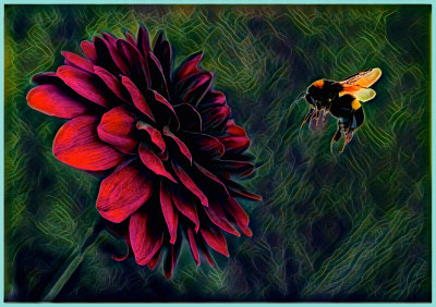 Petals and Bee