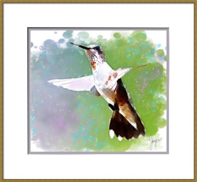 Free as a... by Joyce, March 2018