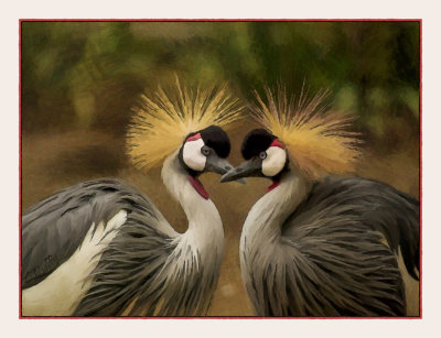 Grey Crowned Cranes by Chris Duffy, October, 2018