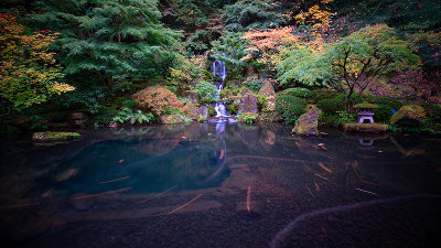 J Gardens 2.jpg