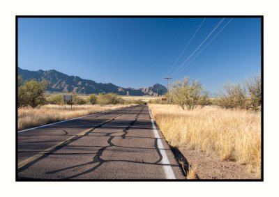 16 11 13 090 Near Madera Canyon in Santa Rita Mountains