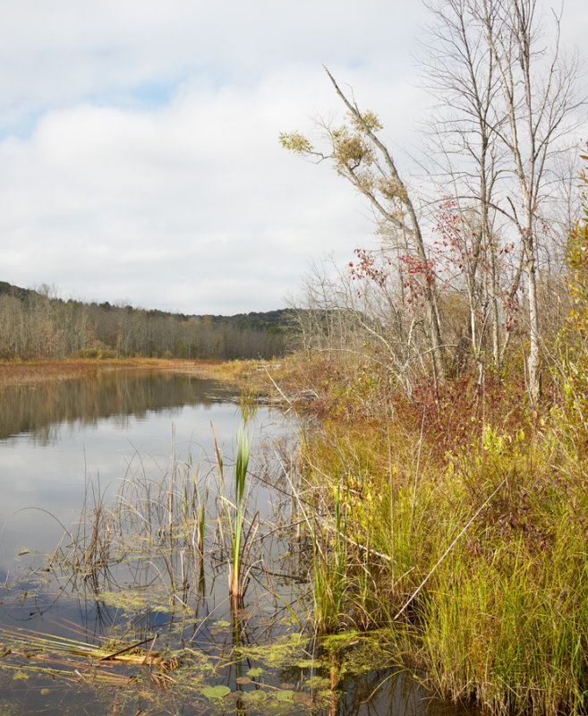 St Clair Lake 