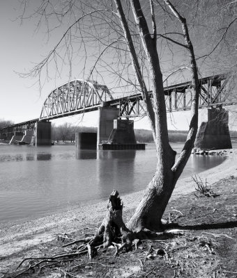 Maple and Trestle Along the Illinois River