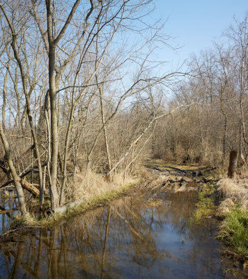 Watery Drive 