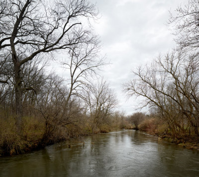 Woods and Water on a Cloudy Morning 