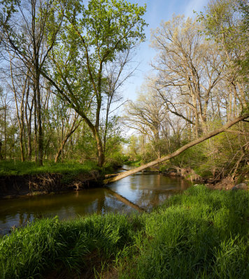 Owens Creek in Late April 