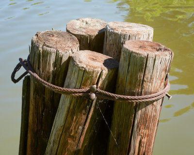 Pilings and Cable 