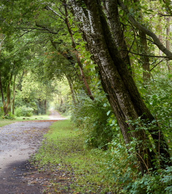 Towpath near the Tender's House 