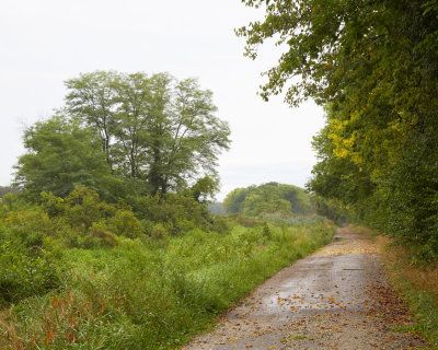 Towpath and Canal on a Cloudy Morning 