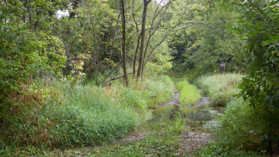 Canal Crossing 