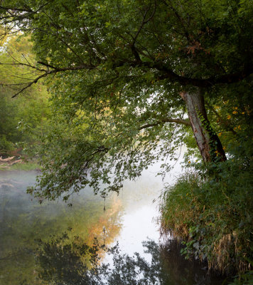 Morning Reflections 